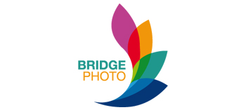 Bridge Photo